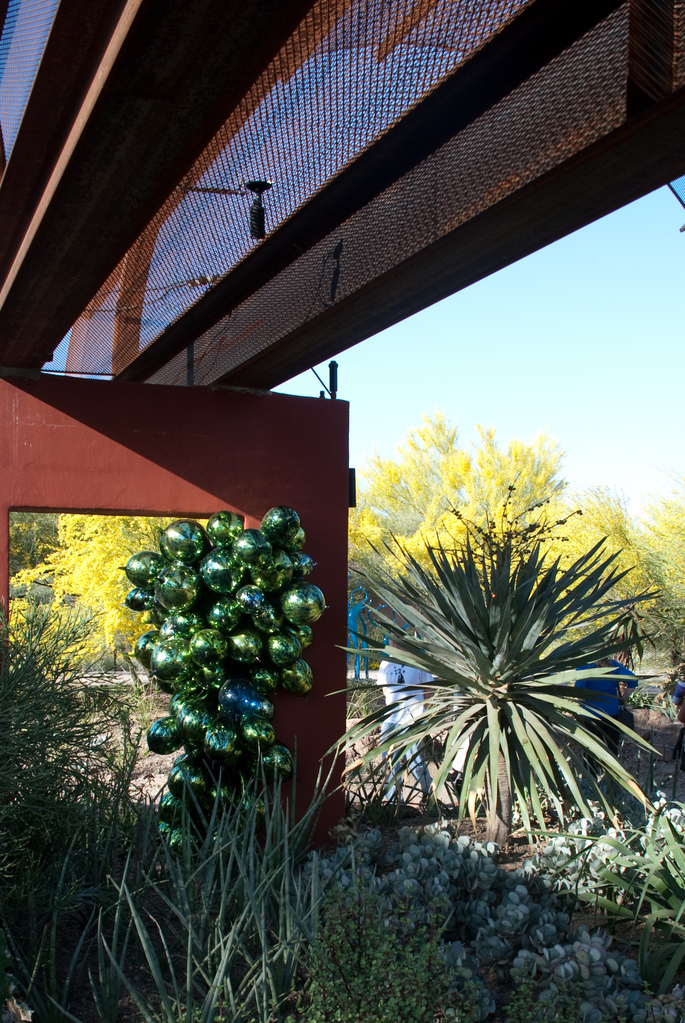 Desert Botanical Garden Desert Botanical Garden