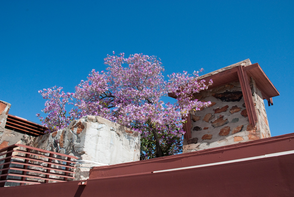 Taliesin West