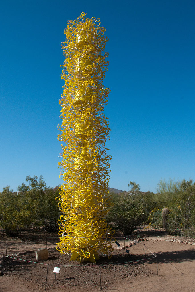 Desert Botanical Garden Desert Botanical Garden