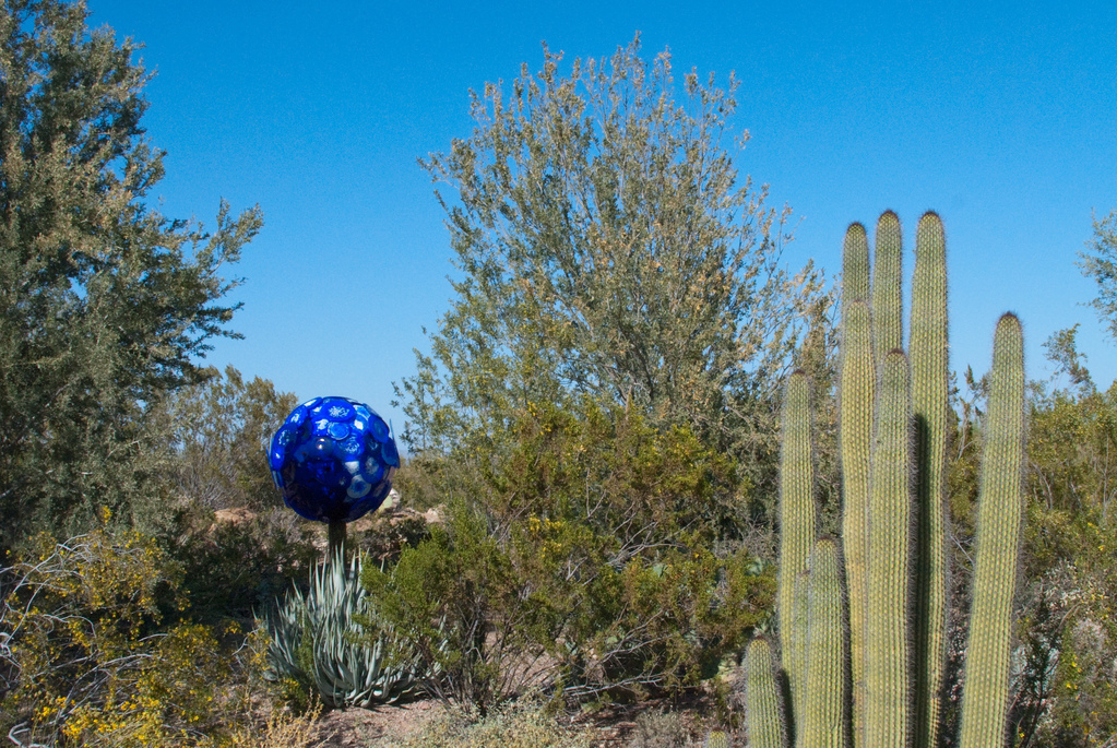 Desert Botanical Garden Desert Botanical Garden