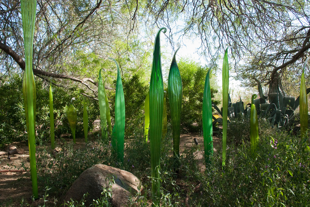 Desert Botanical Garden Desert Botanical Garden