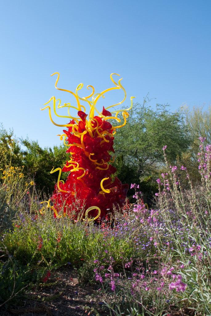 Desert Botanical Garden Desert Botanical Garden
