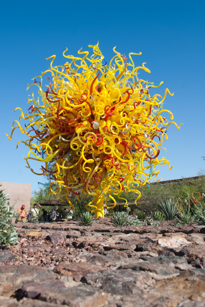 Desert Botanical Garden Desert Botanical Garden