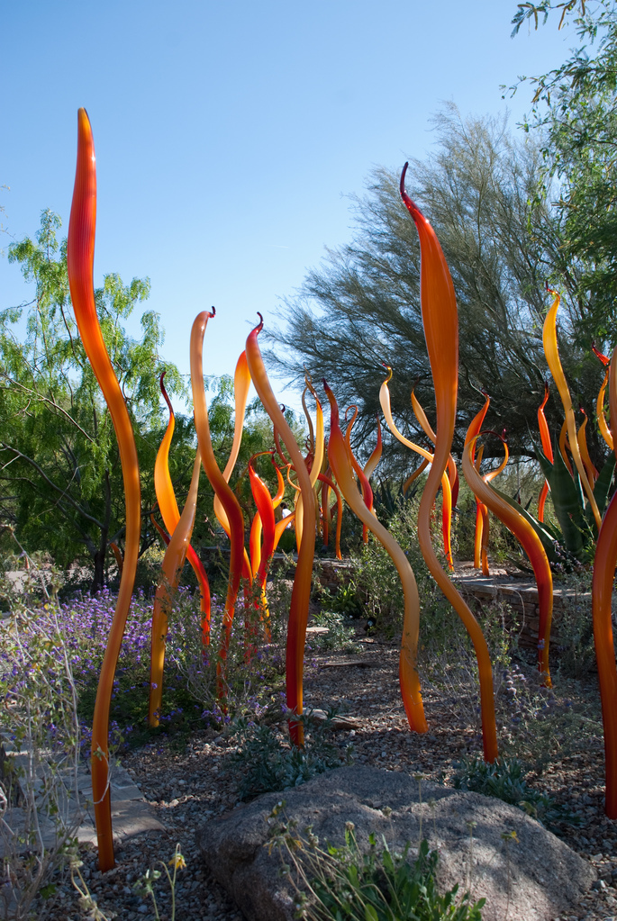 Desert Botanical Garden Desert Botanical Garden