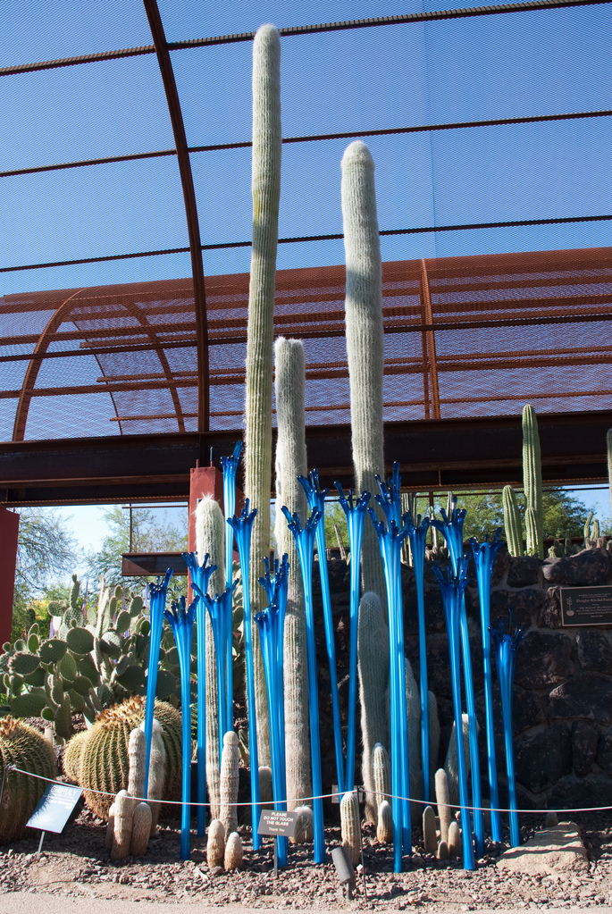 Desert Botanical Garden Desert Botanical Garden