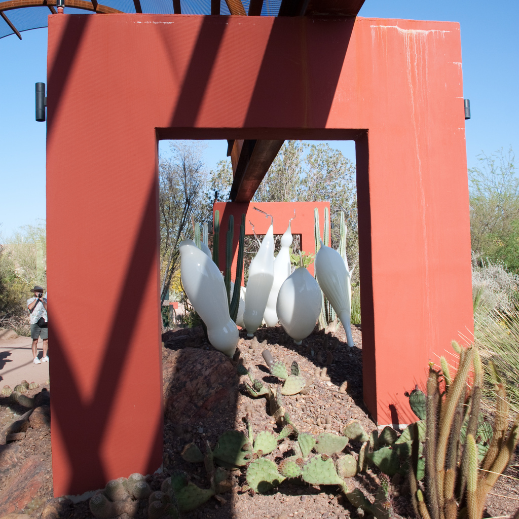 Desert Botanical Garden Desert Botanical Garden