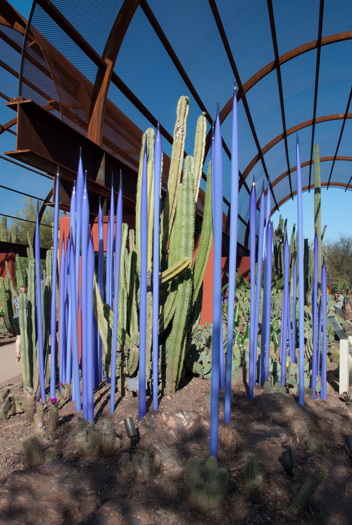 Desert Botanical Garden Desert Botanical Garden