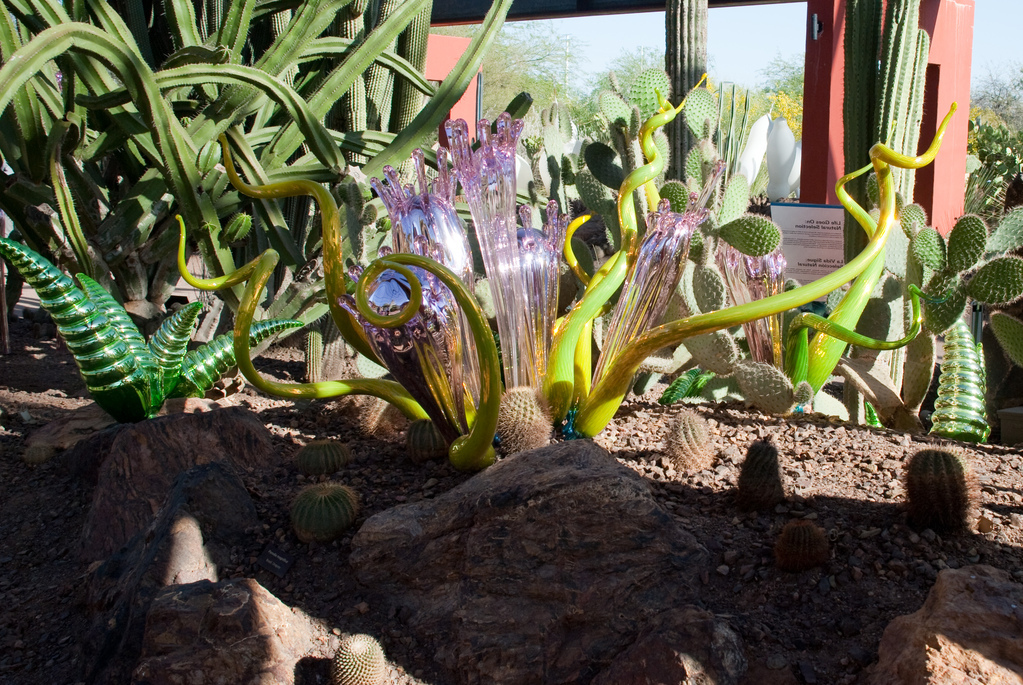 Desert Botanical Garden Desert Botanical Garden