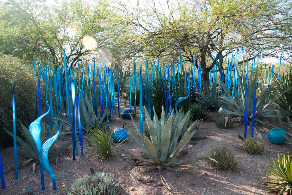 Desert Botanical Garden Desert Botanical Garden