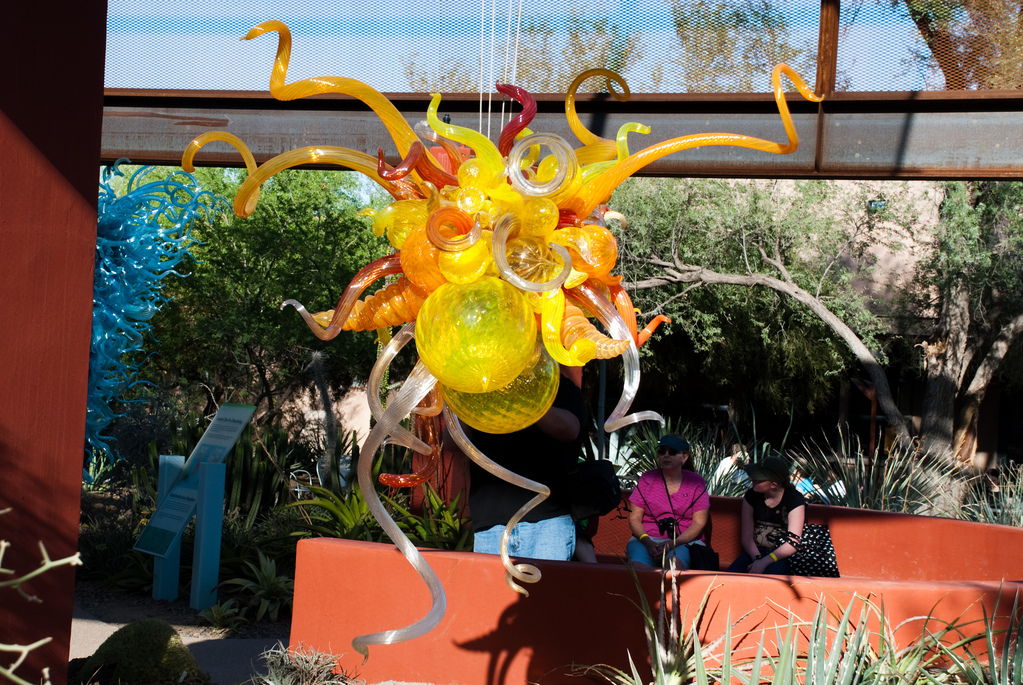 Desert Botanical Garden Desert Botanical Garden
