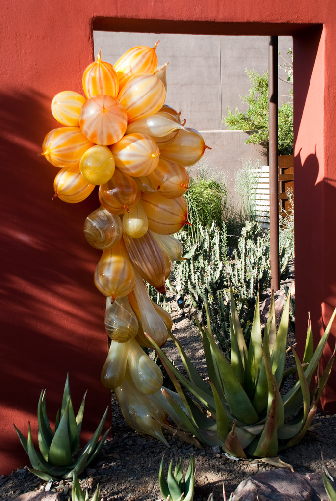 Desert Botanical Garden Desert Botanical Garden