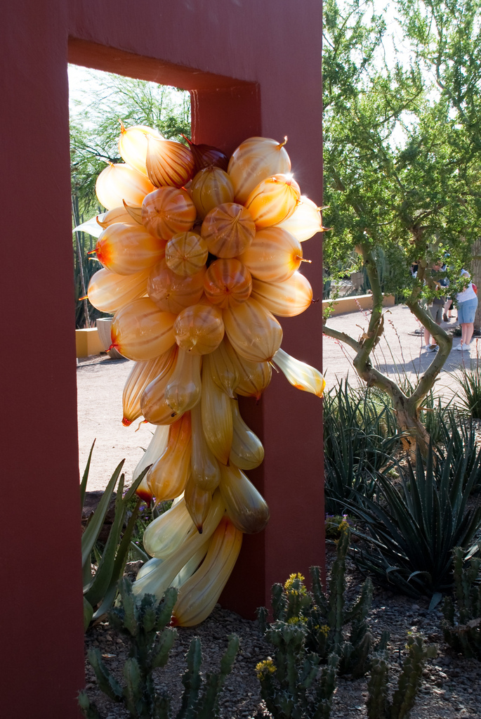 Desert Botanical Garden Desert Botanical Garden