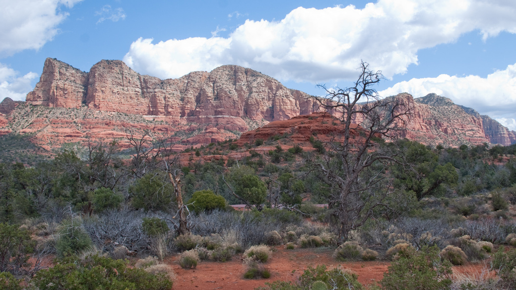 Red Rocks at Sedona