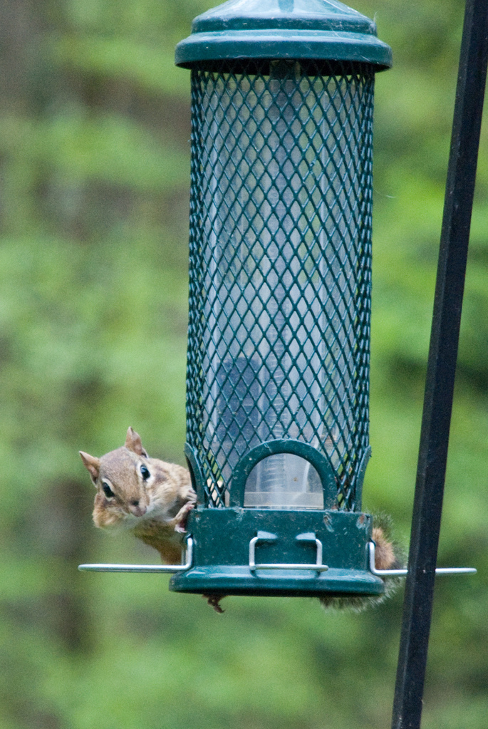 Sorry, can't talk. Mouth full.
