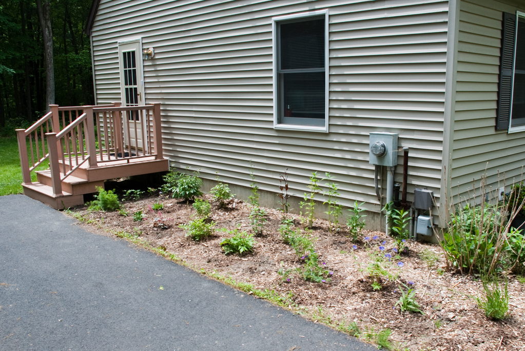 New flower bed New flower bed