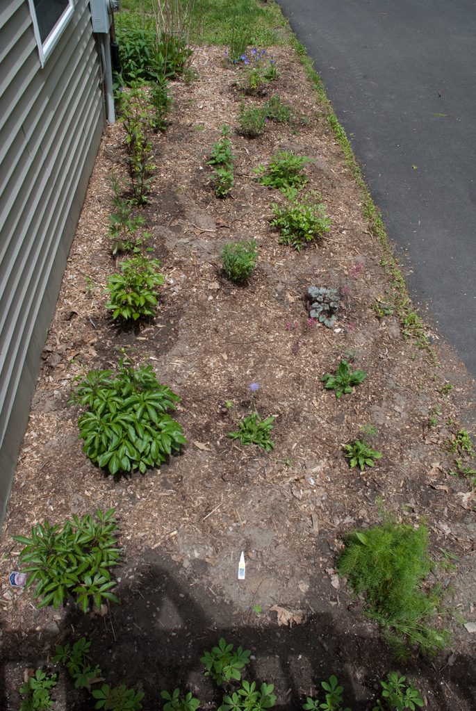 New flower bed from above New flower bed from above