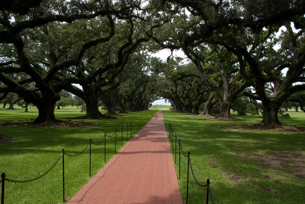 Oak Alley Plantation