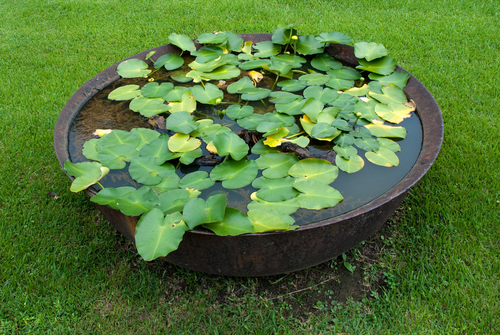 Sugar pot