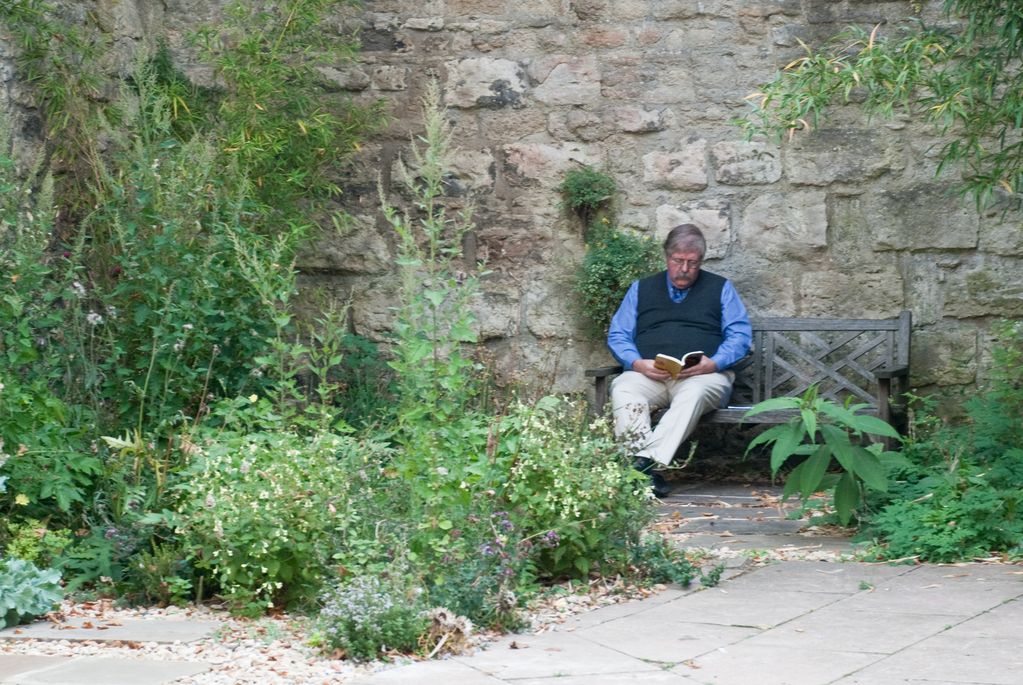 CMSMCQ Reading in the courtyard CMSMCQ Reading in the courtyard