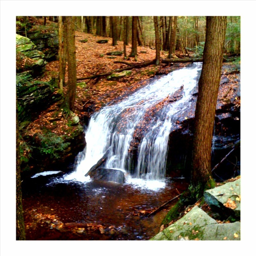 Autumn stream \"Lolo\"