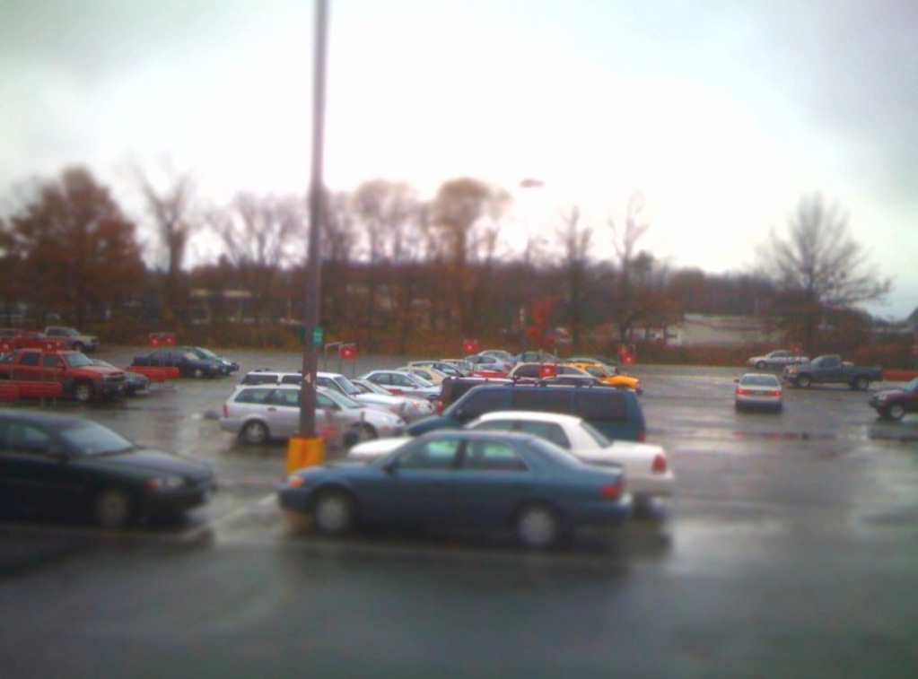 Itsy bitsy tinie winie Stop & Shop parking lot