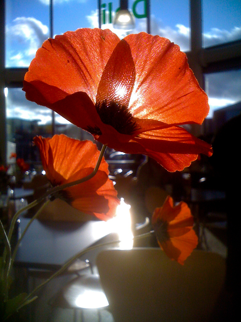 Flower