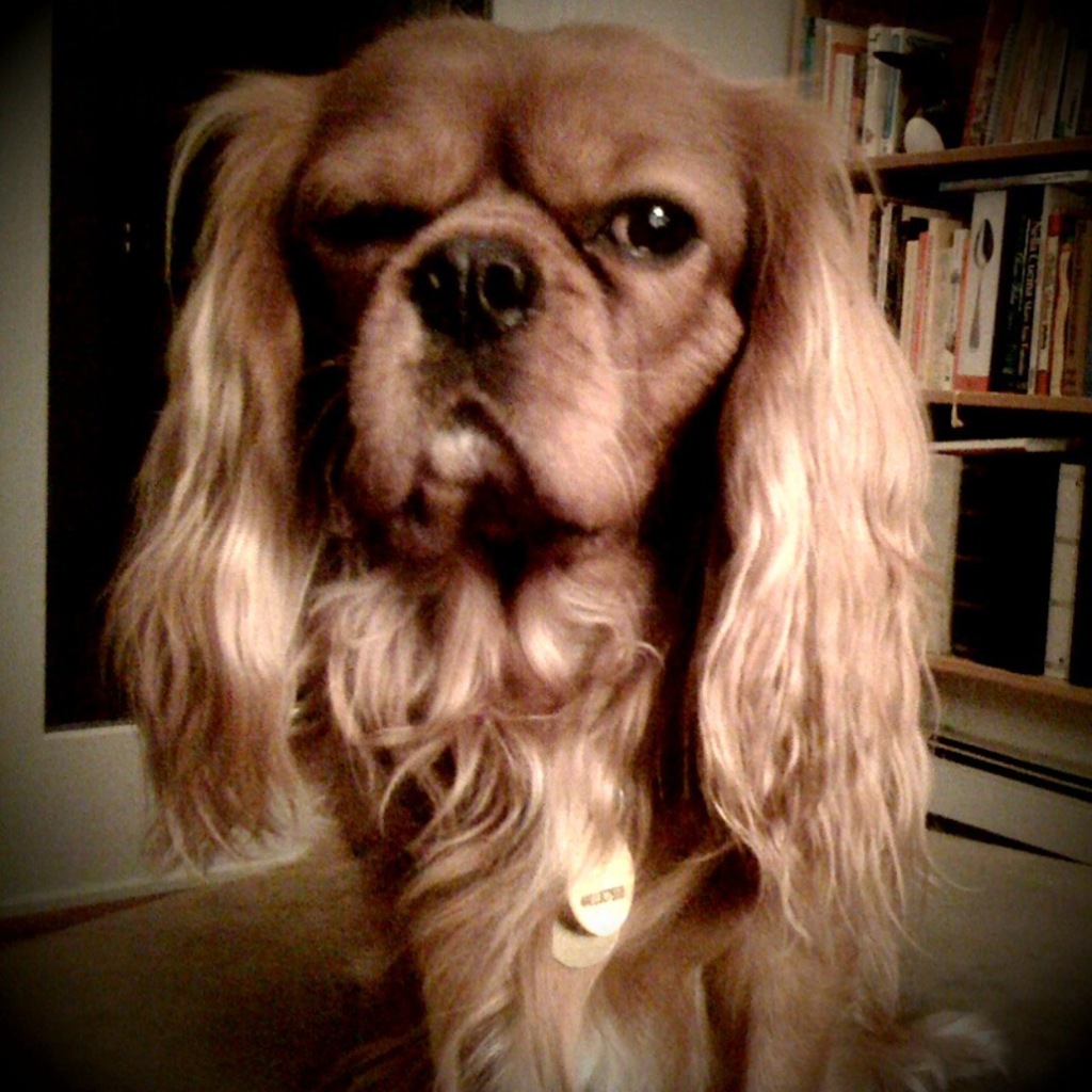 You want what? Say that again, I dare you.