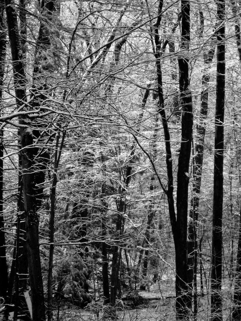 First snowfall First snowfall