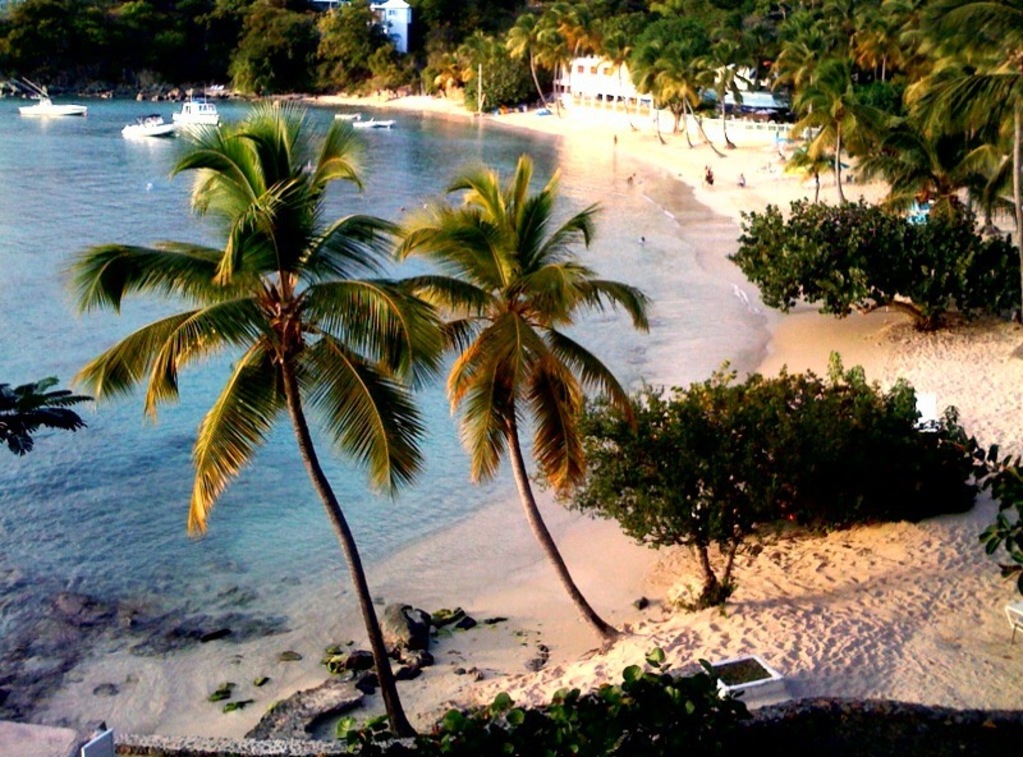 Paradise, cheeseburger optional