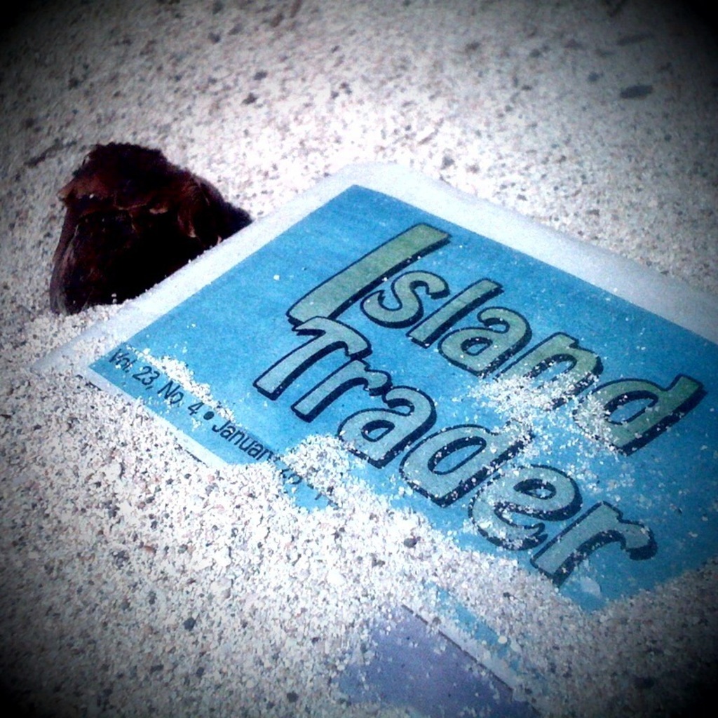 Island Trader