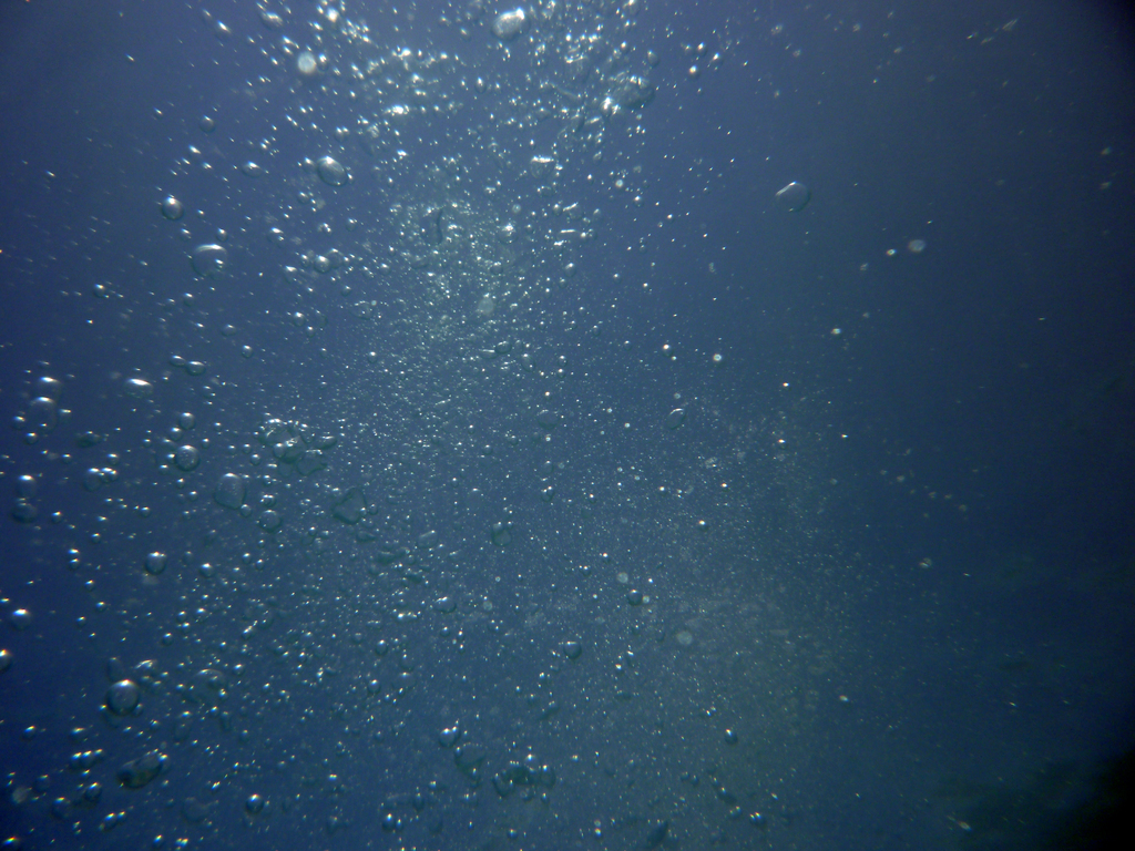 Bubbles
