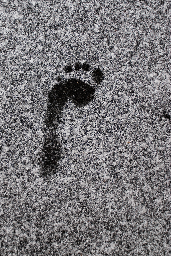 Footprint in snow