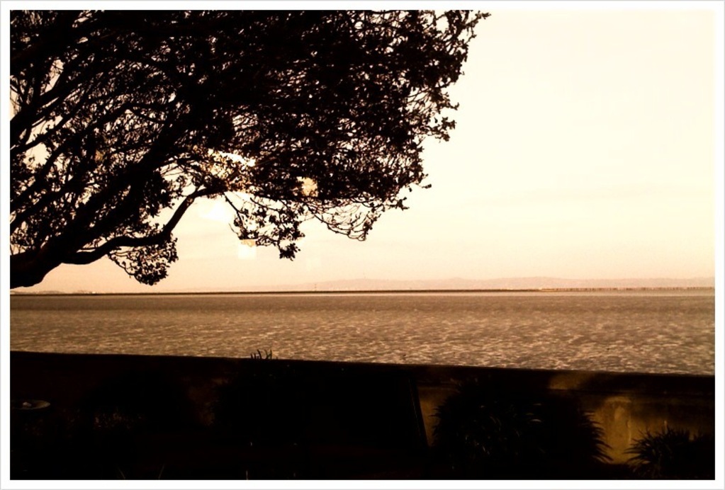 Low tide