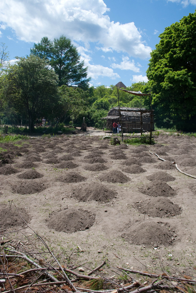 Planting