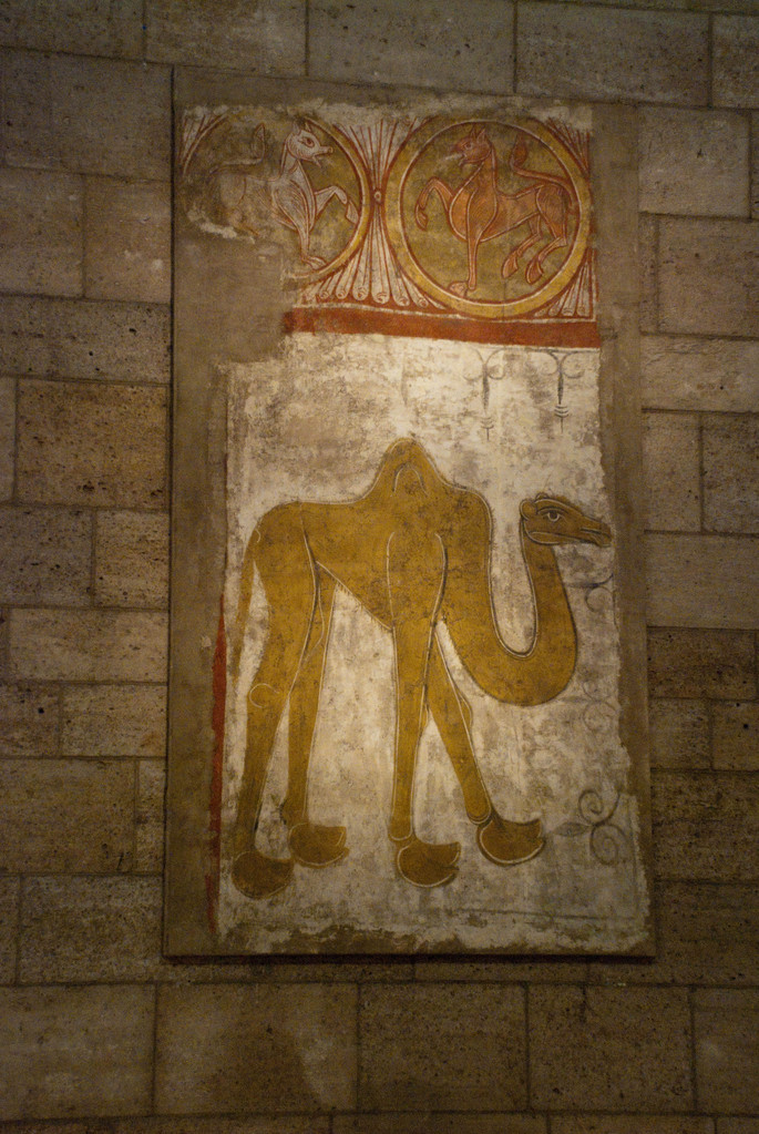 Camel Camel