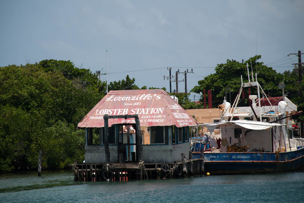 Lorenzillo's Lobster Station Lorenzillo's Lobster Station