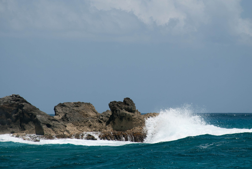Waves Waves