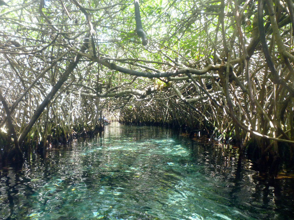 Xel Ha