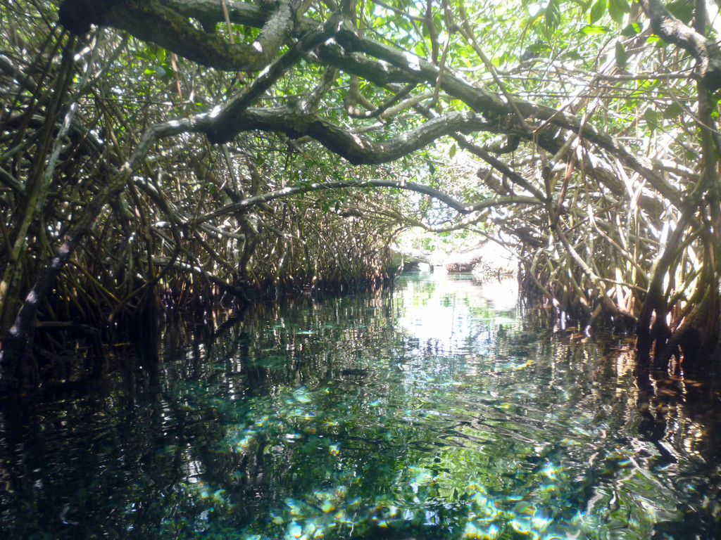 Xel Ha