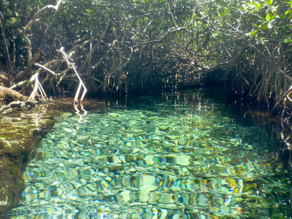 Xel Ha