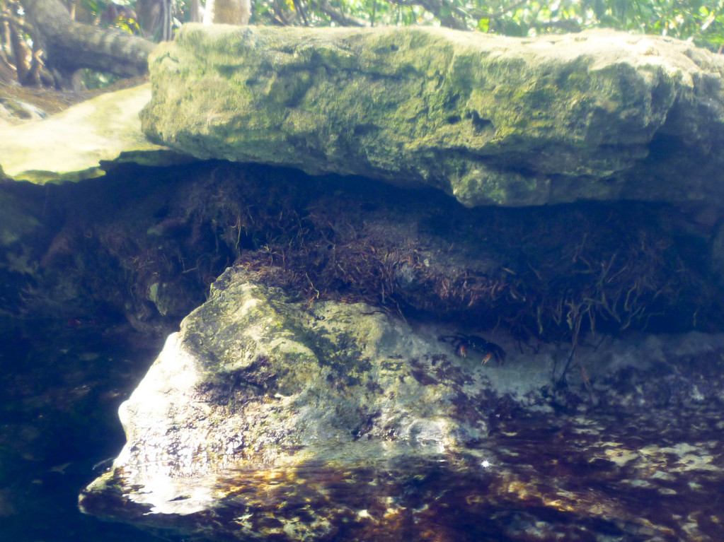 Xel Ha