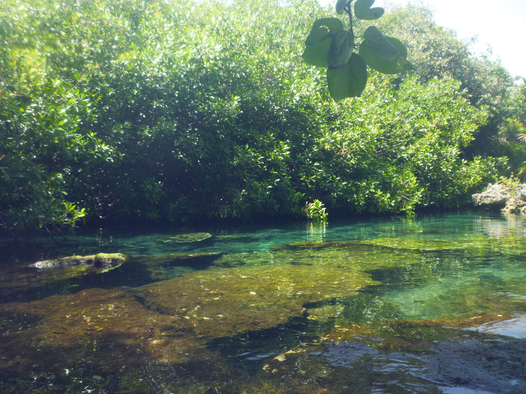 Xel Ha
