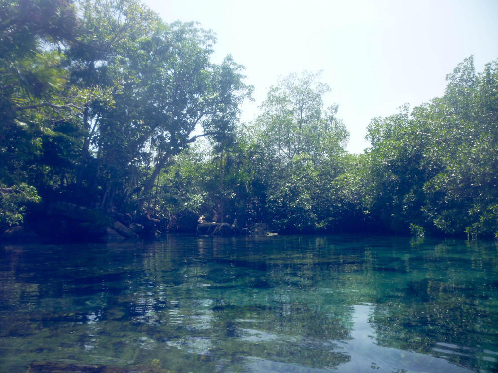 Xel Ha