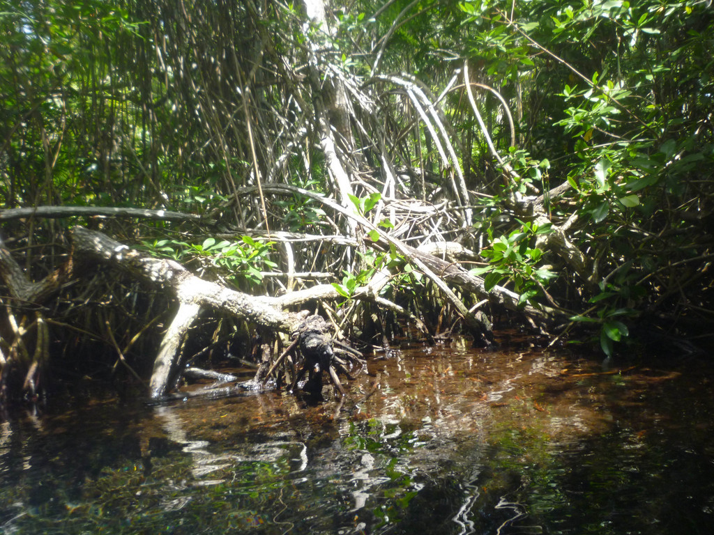 Xel Ha