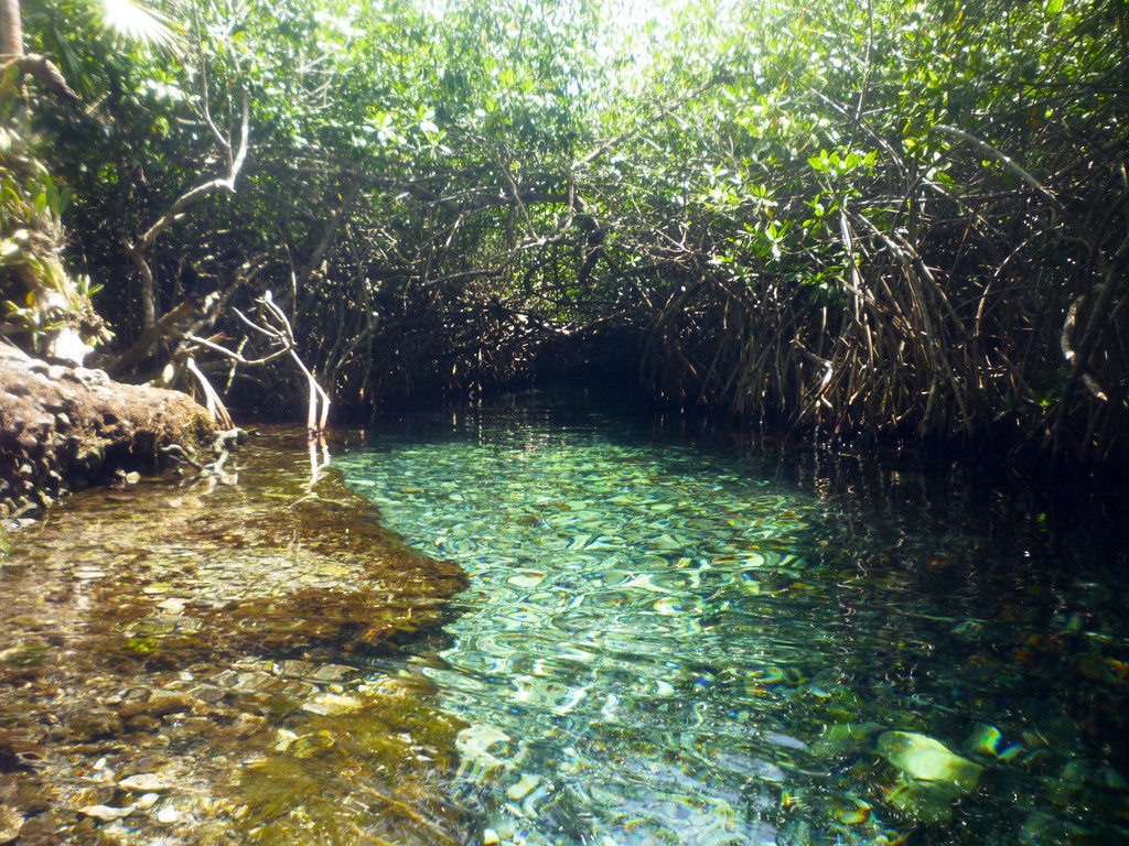 Xel Ha