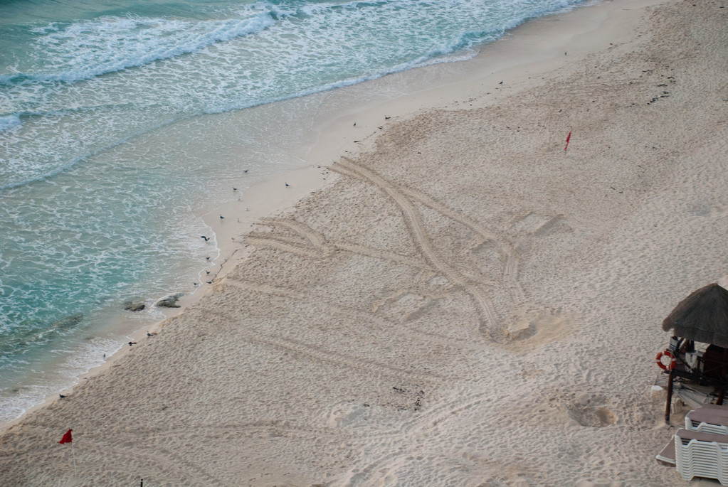 Turtle tracks?