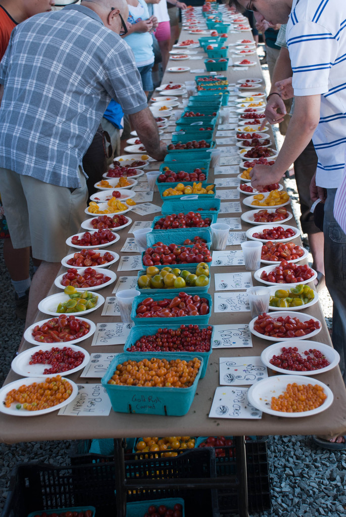 Tomato tasting (second table) Tomato tasting (second table)