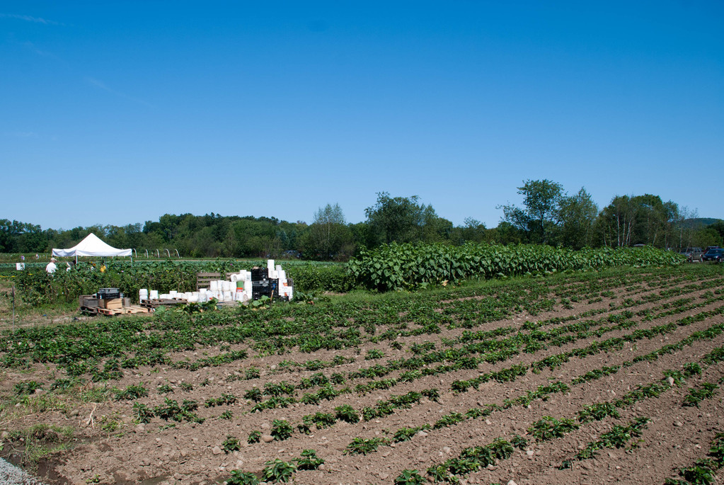 Red Fire Farm