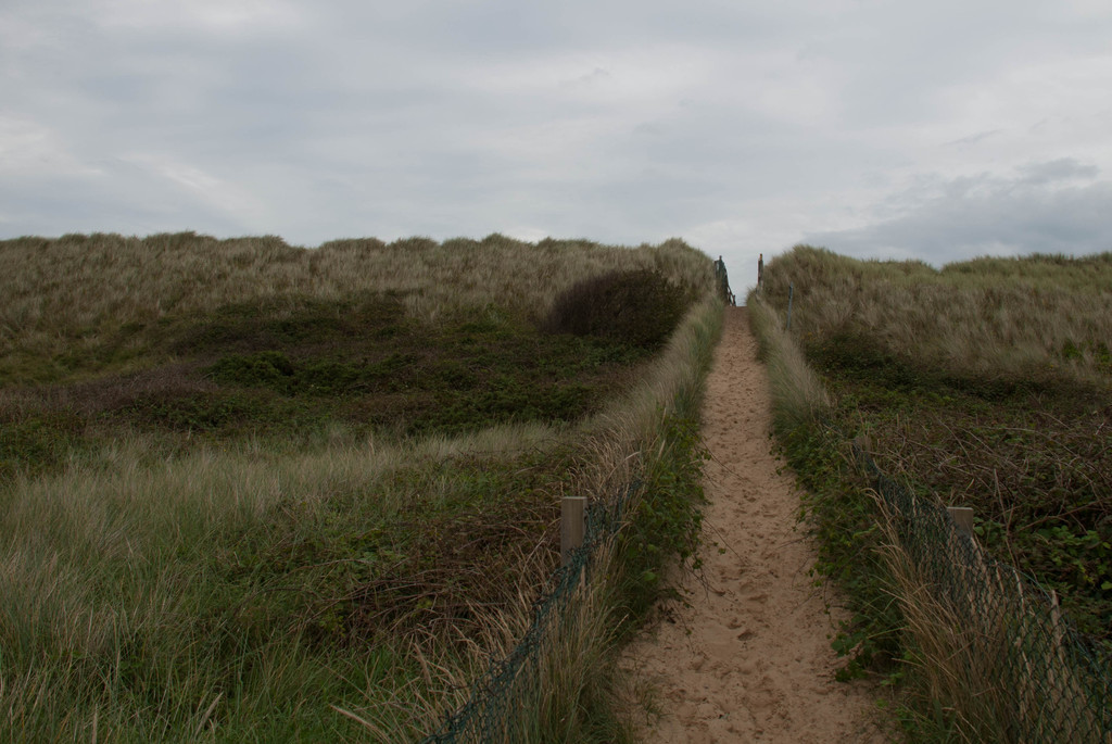 Beach path Beach path