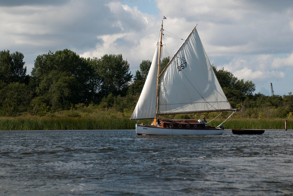 Sailing on Barton Broad Sailing on Barton Broad